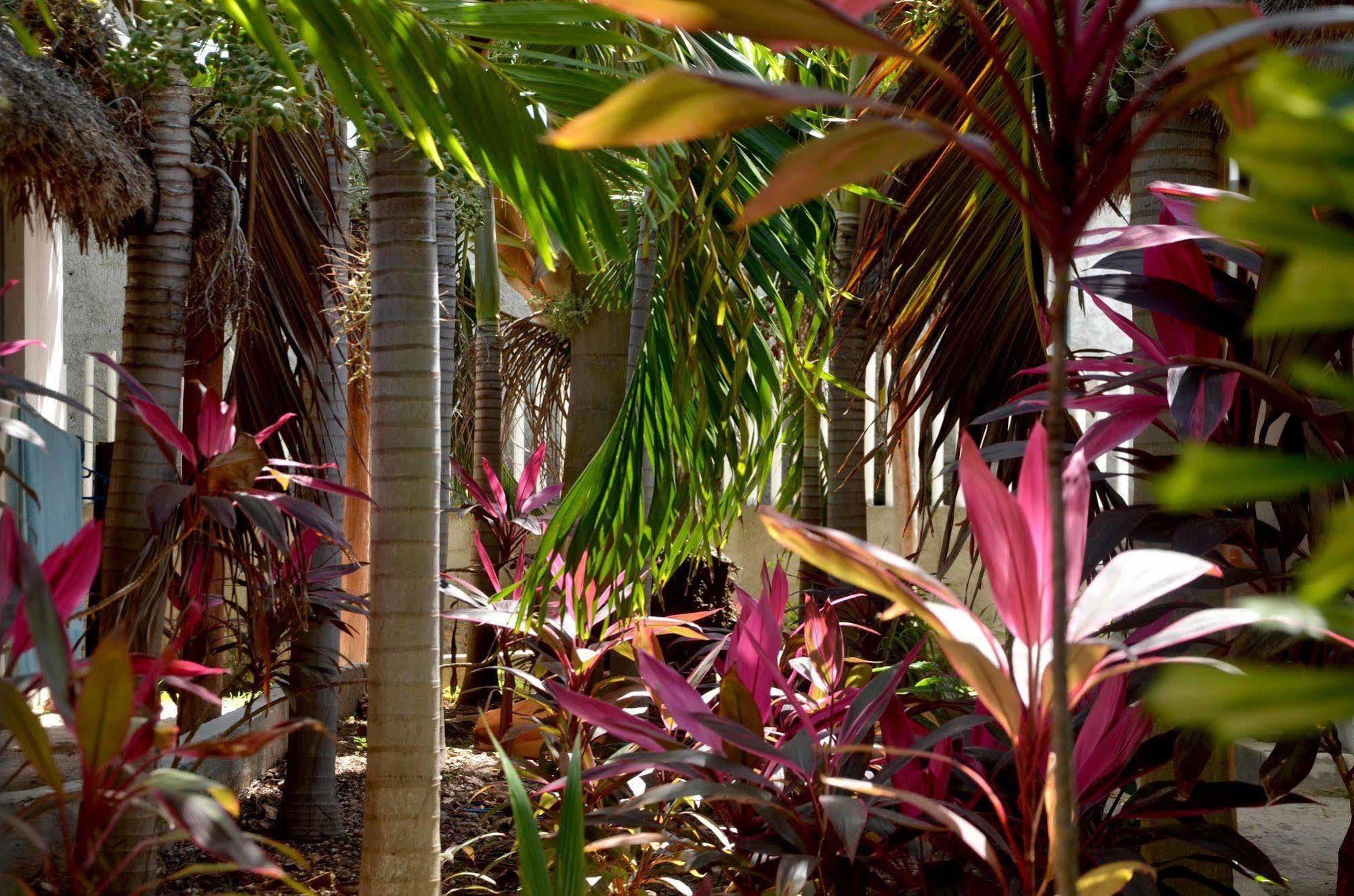 Casa Frida Full Apartments Holbox Exterior foto